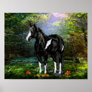 Black and White Overo Paint Horse Poster