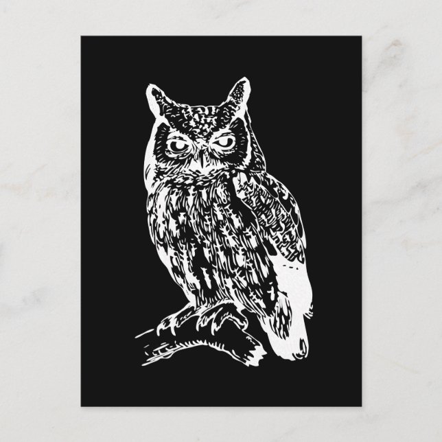 Black and White Owl Design Postcard (Front)