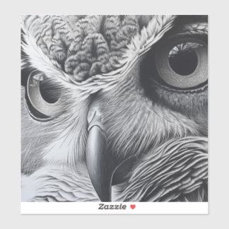 Black and white owl face