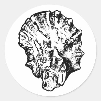 Black and White Oyster Shell Classic Round Sticker