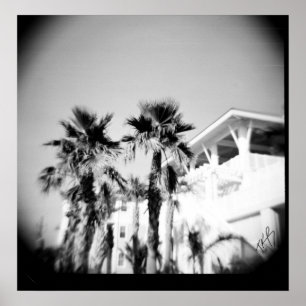 Black and White Palm Poster