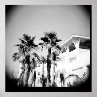 Black and White Palm Poster