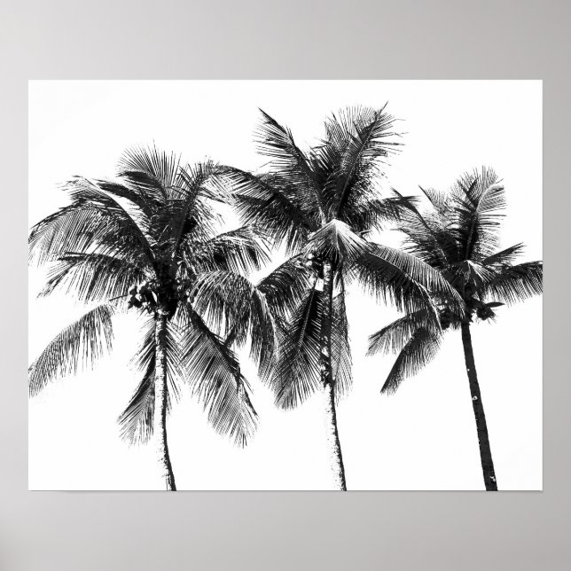 Black and white palm tree tropical summer poster (Front)
