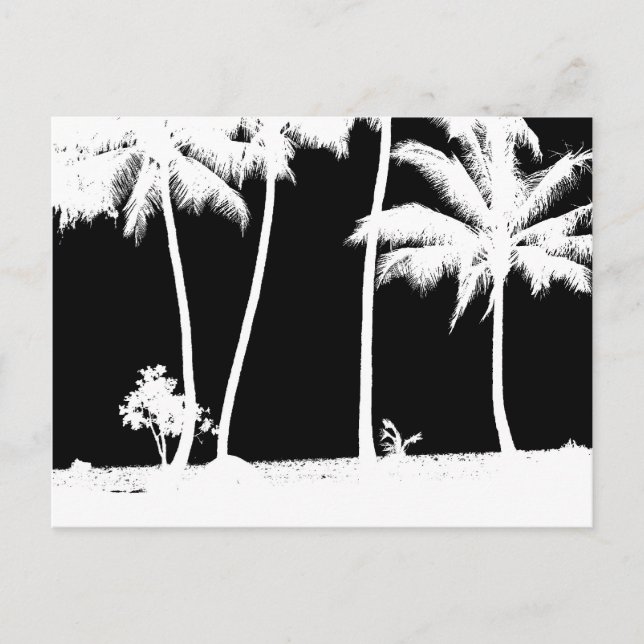Black and White Palm Trees Postcard (Front)