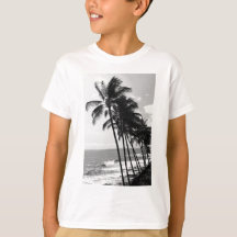 Black and White Palm Trees