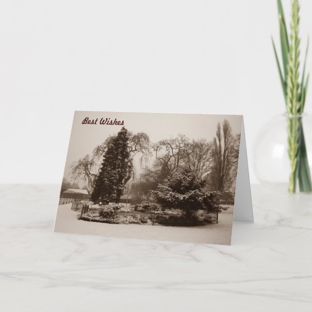 black and white park snow scene chrismas holiday card (Front)