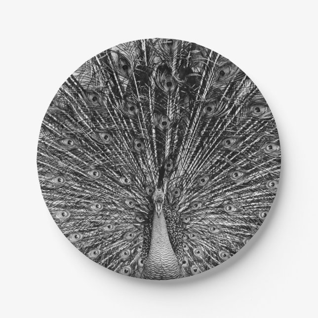 Black and White Peacock Paper Plate (Front)