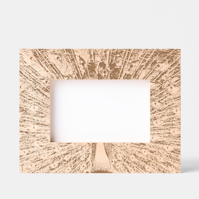 Black and White Peacock Photography Etched Frames (Front)