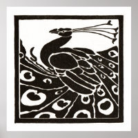 BLACK AND WHITE PEACOCK