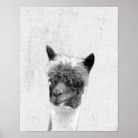 Black and White Peekaboo Alpaca Minimalist Nursery