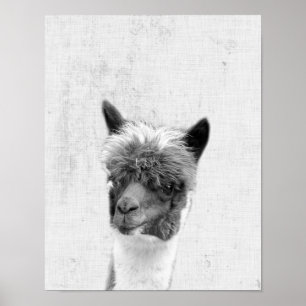 Black and White Peekaboo Alpaca Minimalist Nursery Poster