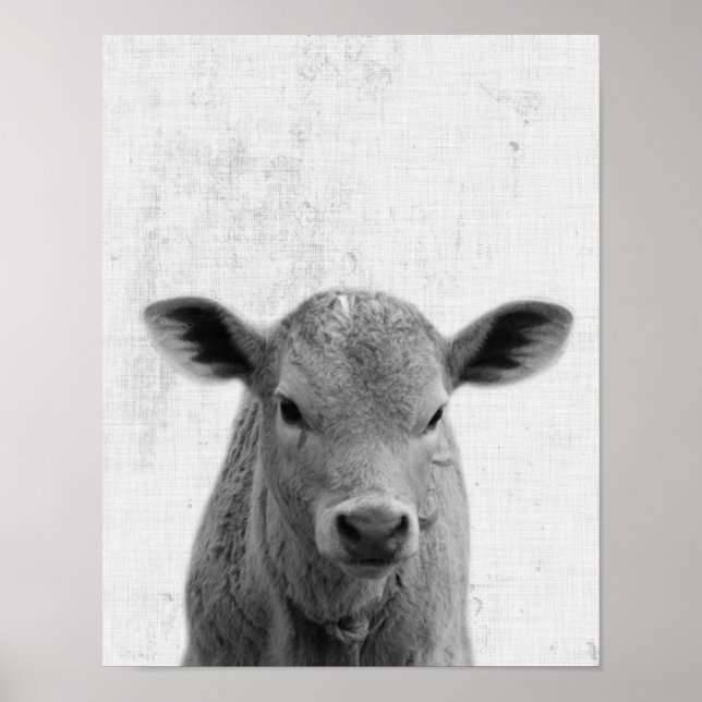 Black and White Peekaboo Cow Minimalist Nursery Poster (Front)