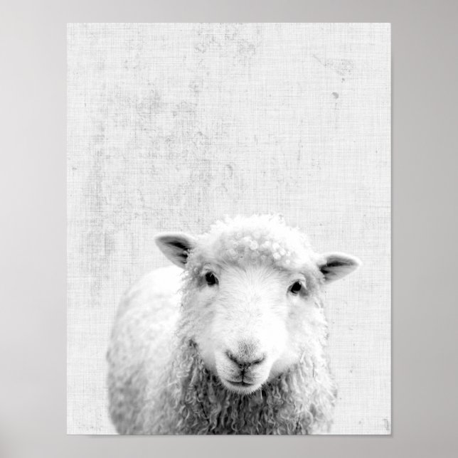 Black and White Peekaboo Sheep Minimalist Nursery Poster (Front)