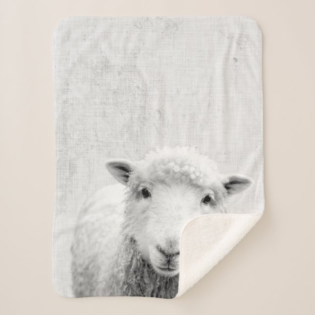Black and White Peekaboo Sheep Minimalist Nursery Sherpa Blanket (Front)