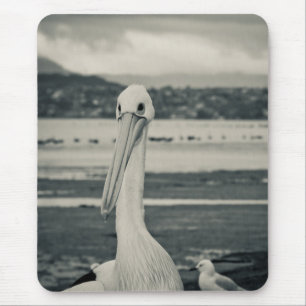 Black and White Pelican Photograph Mouse Mat