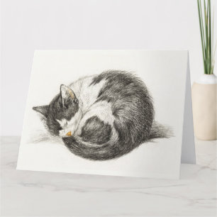 Black and white pencil drawing of a sleeping cat card