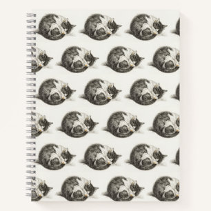 Black and white pencil drawing of a sleeping cat notebook
