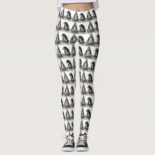 Black and White Penguin Birds Animal Leggings