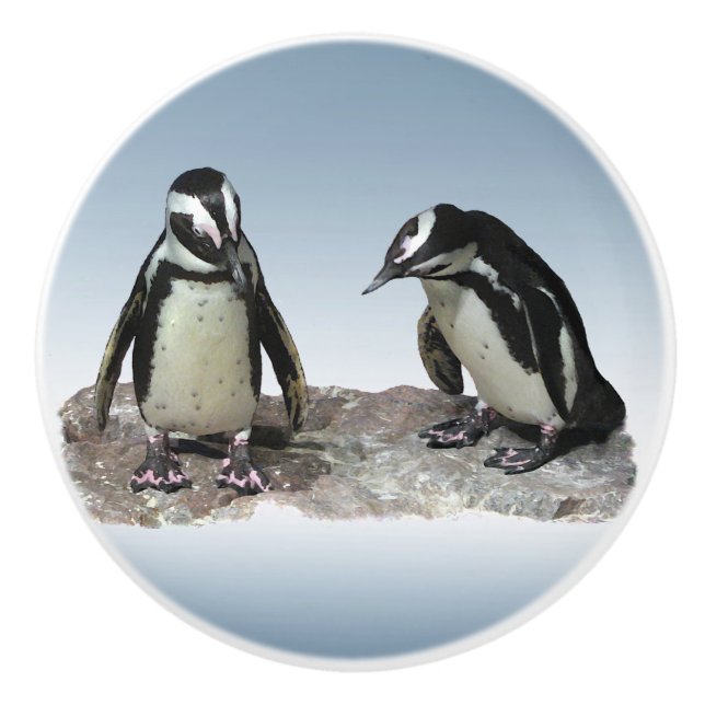 Black and White Penguins Ceramic Knob (Front)