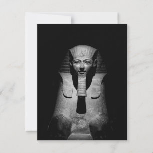 Black and white pharaoh king