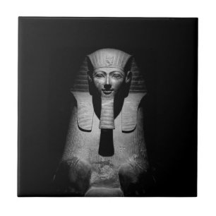 Black and white pharaoh king tile