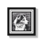 Black and White Phone Pic Mini Size