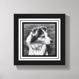 Black and White Phone Pic Mini Size Canvas Print