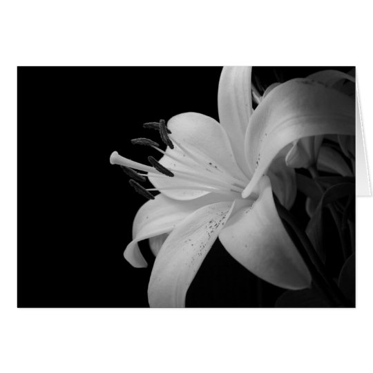 black and white photo card