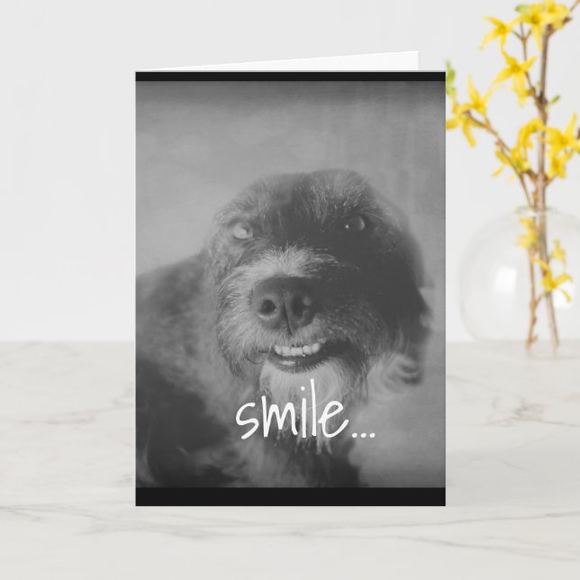 black and white photo funny dog humourous birthday card (Yellow Flower)
