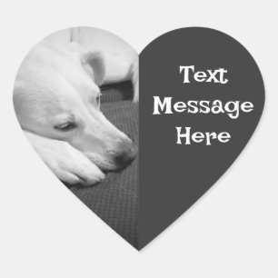 Black and White Photo of a Beautiful Dog Sleeping Heart Sticker