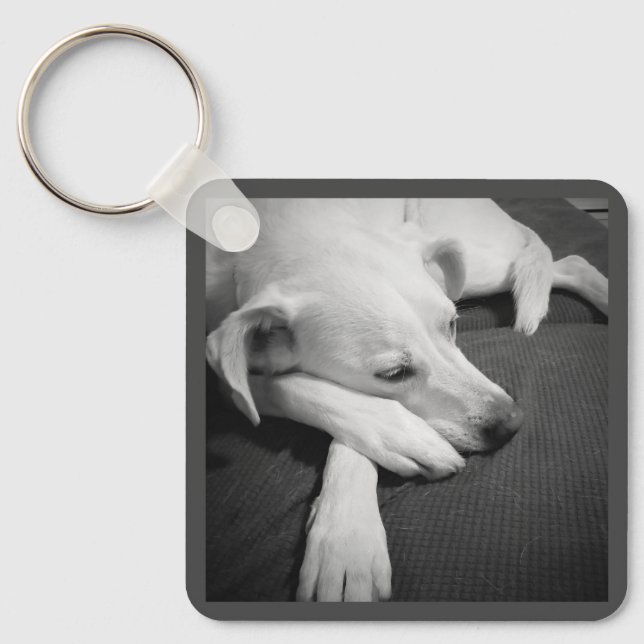 Black and White Photo of a Beautiful Dog Sleeping Key Ring (Front)
