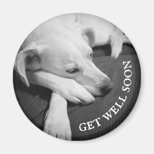 Black and White Photo of a Beautiful Dog Sleeping Magnet