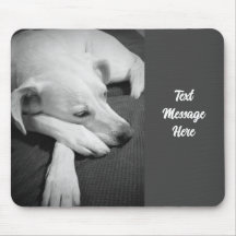 Black and White Photo of a Beautiful Dog Sleeping