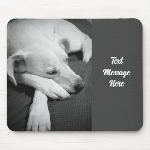 Black and White Photo of a Beautiful Dog Sleeping Mouse Mat
