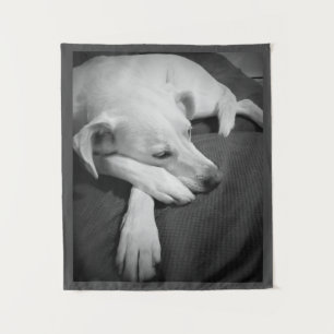 Black and White Photo of a Beautiful Dog Sleeping Tapestry