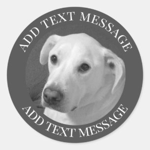 Black and White Photo of a Beautiful Soulful Dog Classic Round Sticker