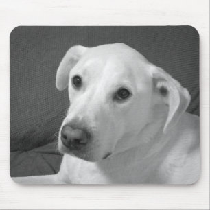 Black and White Photo of a Beautiful Soulful Dog Mouse Mat