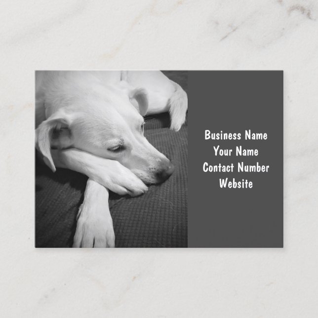 Black and White Photo of a Dog Sleeping Simple Business Card (Front)
