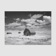 Black and White Photo of Barns in a Grass Field