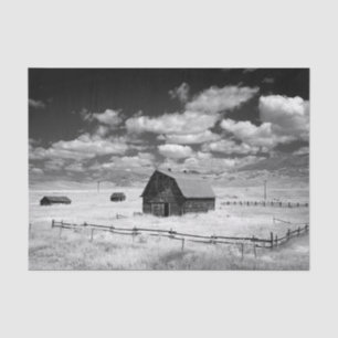Black and White Photo of Barns in a Grass Field Tissue Paper