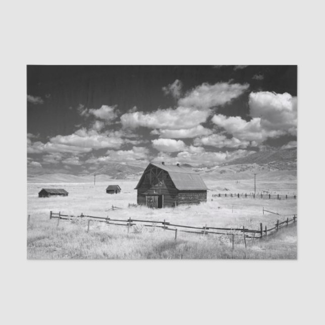 Black and White Photo of Barns in a Grass Field Tissue Paper (Front)