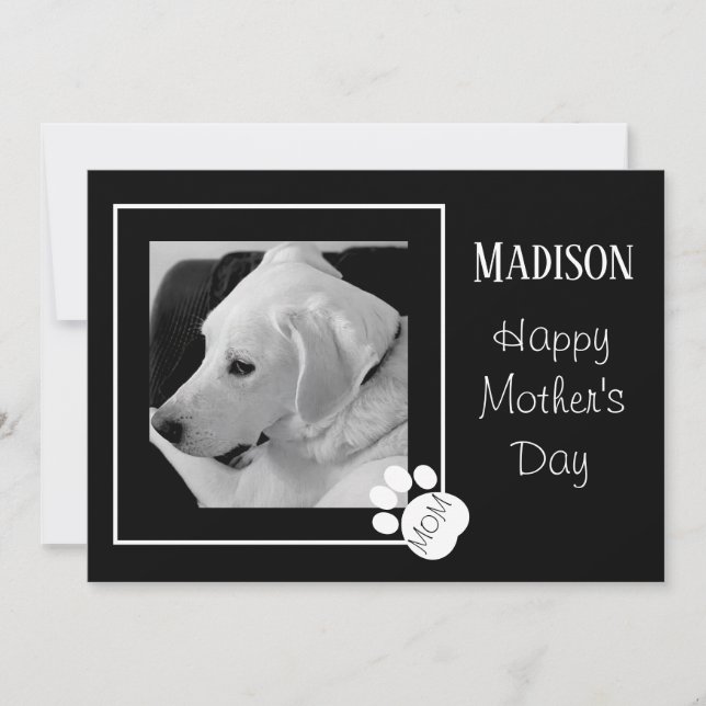 Black and White Photo of Cute Dog Mother's Day Holiday Card (Front)