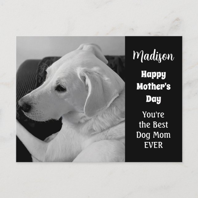 Black and White Photo of Cute Dog Mother's Day Holiday Postcard (Front)