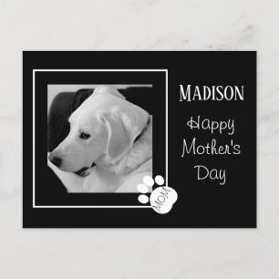 Black and White Photo of Cute Dog Mother's Day Holiday Postcard