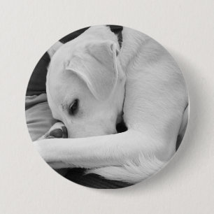 Black and White Photo of Cute Dog Resting with Dad 7.5 Cm Round Badge