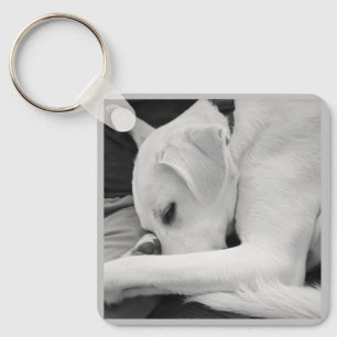 Black and White Photo of Cute Dog Resting with Dad Key Ring