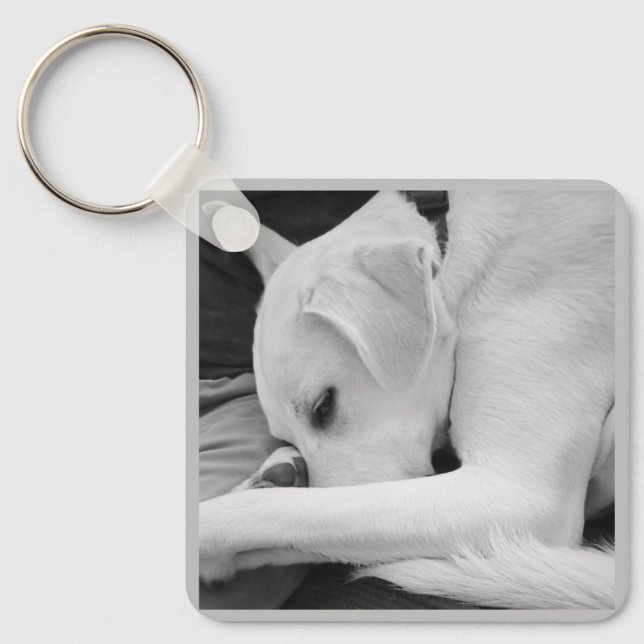 Black and White Photo of Cute Dog Resting with Dad Key Ring (Front)