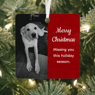 Black and White Photo of Sad Dog Missing You Red Metal Tree Decoration