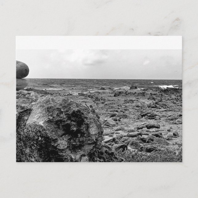 Black and White, Photograph, Standard Postcard (Front)