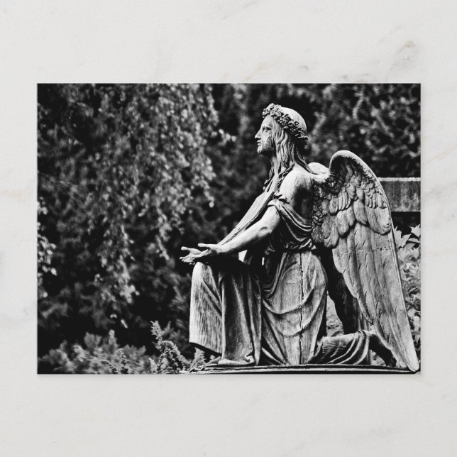 Black and white photography kneeling angel postcard (Front)